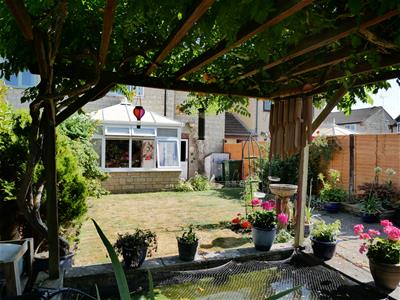 Picture 21
